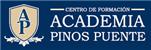 academia pinos puente