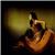 Flamenco en Presente. Begoña Castro