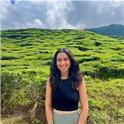 MENTOOR - Clases online