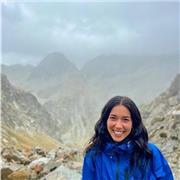 Mentoor Clases de idiomas