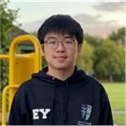 Dedicated Mathematics Tutor for GCSE and A-Level Students