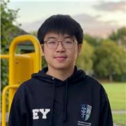 Dedicated Mathematics Tutor for GCSE and A-Level Students