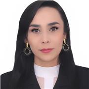 Profesor en informática