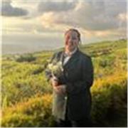 Professeur d’anglais propose des cours d’anglais tout niveau