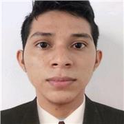 Profesor de historia, ciencias sociales e inglés en forma virtual