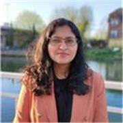 Economics teacher for higher degree level