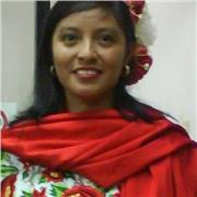 Maestro particular de matemáticas en remoto