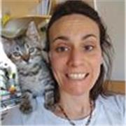 Clases Particulares para Nivel Inicial, Primario y Secundario