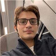 Studente di Ingegneria Elettronica, offro supporto per materie STEM per superiori e medie