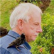 I am a 74 year old that has reached the pinnacle in my hi-tech career and then on retiring explored ways of sharing my skills