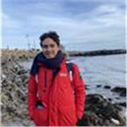 Spanish tutor providing Spanish lessons for people of all ages and levels
