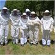 Profesor y asesor de apicultura, 25 años de experiencia.