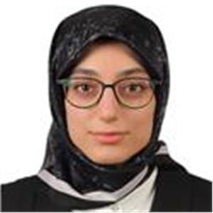 Ayse Asude Eroglu