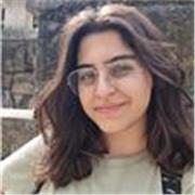 Mathematics Tutor for Middle School, High School, and University Foundations