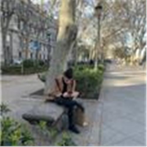 user photo