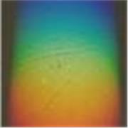 Lcda en comunicación audiovisual, docente con especialidad en dibujo, g.s en forestales y educación y control amb. Agroecología 