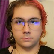 Ich biete preisgünstigen 1-on-1 Online Englischnachhilfeunterricht für Schüler von der 5. bis 10. Klasse an