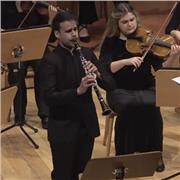 Clases de clarinete y de música, de refuerzo para el instituto y la escuela y también de idiomas (español e ingles)