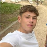 Profesor de Educación Primaria para todas las asignaturas