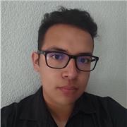 Clases particulares en línea