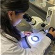 Profesor particular de Biología: Apoyo en tareas y preparación preuniversitaria