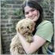 High-achieving UCL History student who tutors GCSE and A-level History