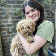 High-achieving UCL History student who tutors GCSE and A-level History