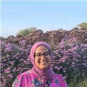 Native Arabic tutor with a PhD in Linguistics. I can help you understand how the language works and pronounce the tricky sounds!