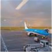 Insegnante di italiano seria ed uducativa ma anche molto allegra 