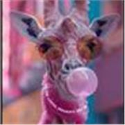 Objectif bonnes notes ou meilleure communication au quotidien 