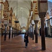 Profesor de apoyo en la materia de Inglés. Certificado de nivel C1 en el idioma