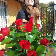 Profesora de inglés en Maipú