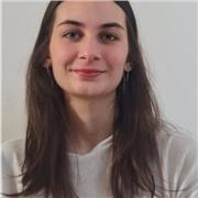 Propuestas pedagogicas para la lectoescritura