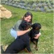 Aiuto compiti matematica e biologia vari livelli !