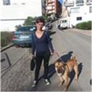El Búlgaro y el Turco son mis idiomas maternos y paternos, traducción a español.Cualquer empresa que nesecita traducciones, aquí e