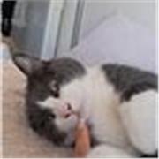 Vous avez besoin de cours d'anglais ? Pour ameliorer votre niveau, pour votre cv, vos enfants, ou votre scolarité ?