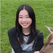 Mathe Nachhilfe 1-10 Klasse möglich (Online Unterricht)