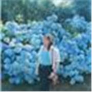 Profesor de apoyo para las materias relacionadas con Latín y Griego. También apta para Lengua Española e Inglés