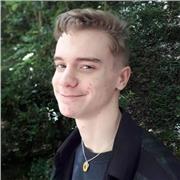 Je propose des cours d'anglais et d'histoire/Culture historique de niveau Collège Lycée
