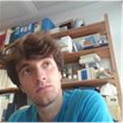 Offro Lezioni Di Matematica, Fisica E Termodinamica. Federico
