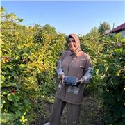 Englisch-Tutor ,Englisch für Kinder jeden alters