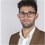 Offro ripetizioni per bambini e ragazzi online a distanza, da pc o cellulare