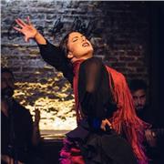 Clases particulares amenas y sobre todo con pasión. ¡Anímate! Bailarina y bailaora graduada en Danza Española y Flamenco