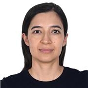 J'enseigne l'espagnol latino-américain, le meilleur espagnol du monde. J'enseigne également la biologie de base, la morphologie