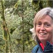 Profesora de Primaria con 28 años de experiencia – Refuerzo, Matemáticas y Técnicas de Estudio