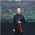 Profesor de violín  con amplia experiencia de iniciación hasta avanzados.