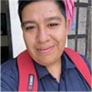 Maestro de primaria con gran conocimiento en el area de matematicas , experiencia en otros ambitos y en el aprovechamient