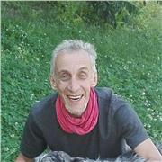 Insegnante lezioni private di Storia Chivasso