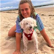 Gemeinsam Deutsch lernen für verschiedene Sprachlevel