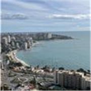 Soy Psicopedagoga con Master Universitario Oficial en NEE, me he formado en mindfulness, EMDR y terapia sistémico familiar